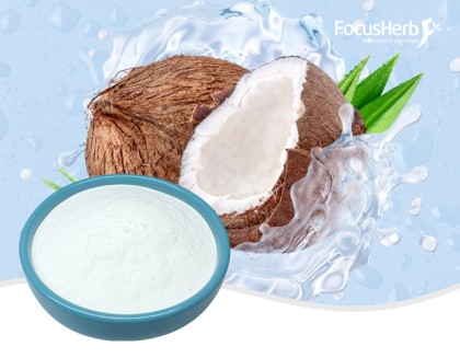polvo de aceite MCT orgánico