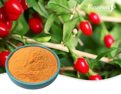 Polvo orgánico de gojiberry