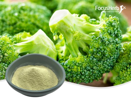 Polvo de brócoli orgánico