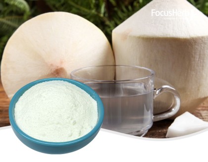 Leche de coco en polvo