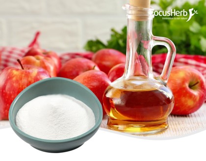 Polvo de vinagre de sidra de manzana