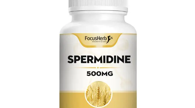 Espermidina: A mysterious polyamine in life (en inglés)