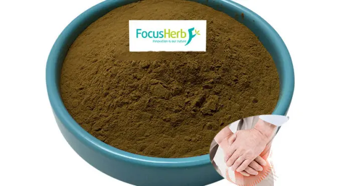 Polvo de hígado de vacuno: extracción, valor nutricional y aplicaciones