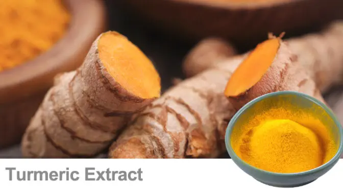 Una molécula mágica en la naturaleza: La Curcumina