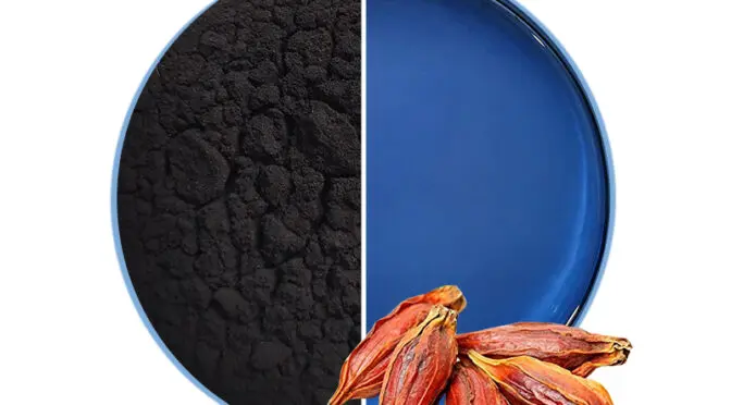 ¿Qué es la Gardenia Azul? Una maravilla natural explicada