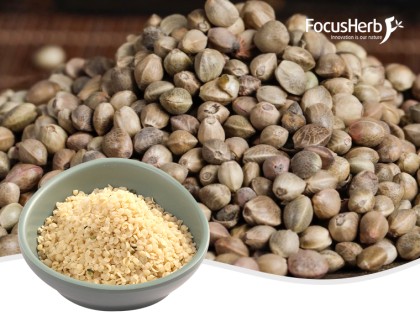 유기농 껍질을 벗긴 대마 씨앗