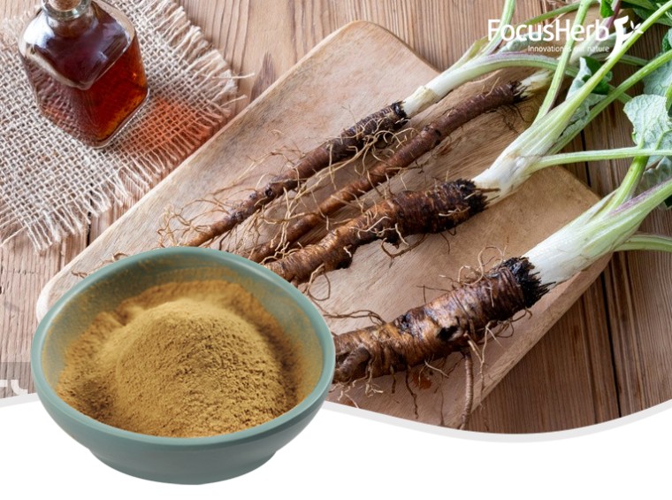 유기농 우엉 분말