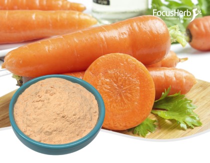 유기농 당근 분말