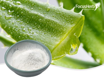 유기농 알로에 베라 분말