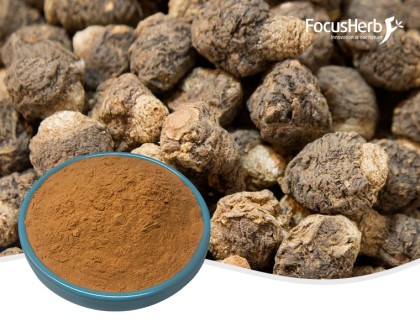 유기농 마카 분말