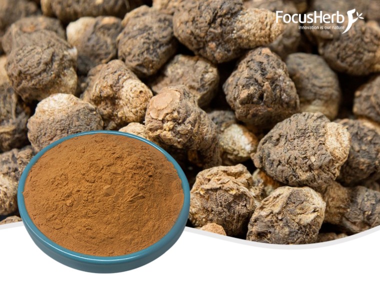 유기농 마카 분말