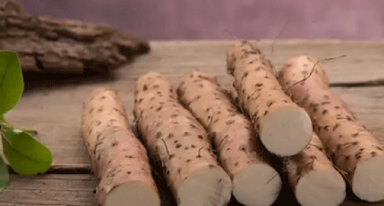 Wild Yam Extract