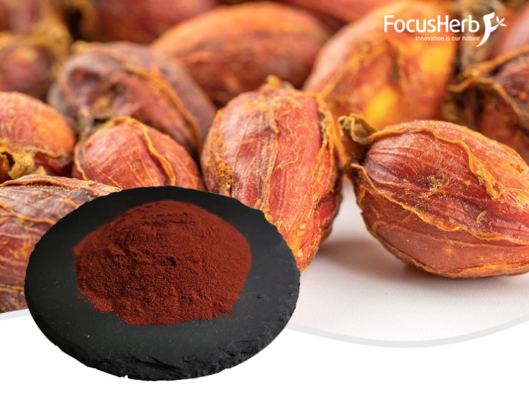 치자나무 옐로우