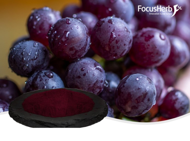 포도 껍질 빨간색