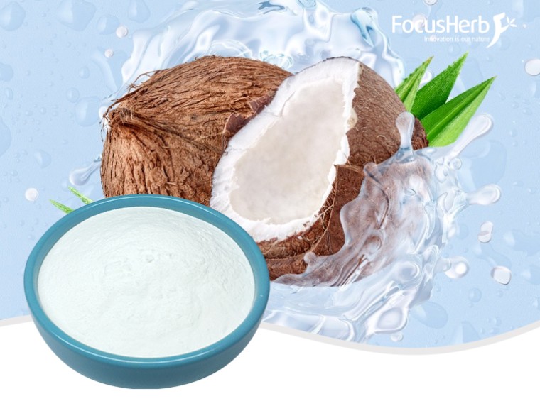 유기 MCT 오일 파우더