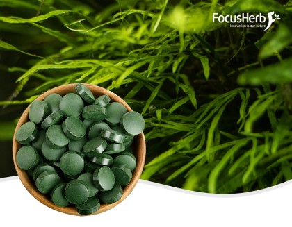 유기농 클로렐라 정제