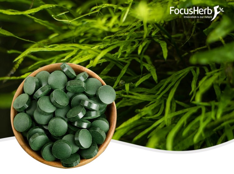 유기농 클로렐라 정제