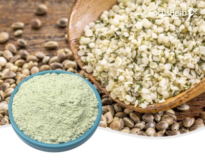 유기 대마 단백질