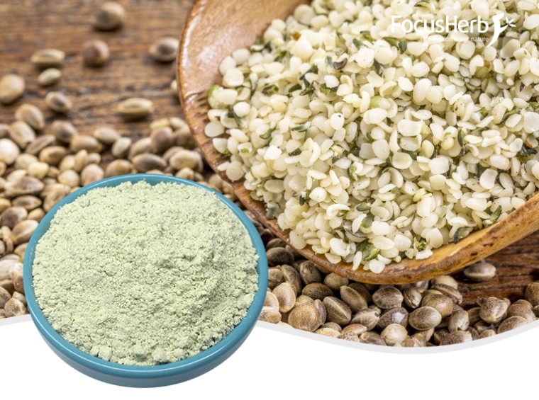 유기 대마 단백질