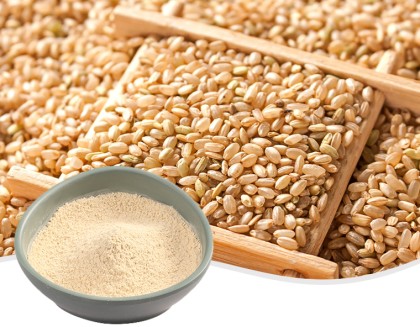 유기농 현미 단백질