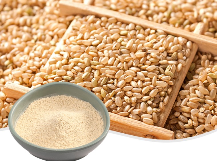 유기농 현미 단백질