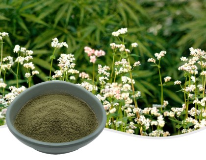 유기농 메밀가루