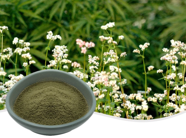 유기농 메밀가루