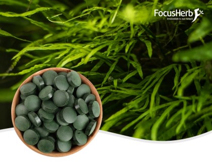 유기농 스피루리나 정제