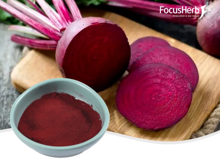 근대 뿌리 분말