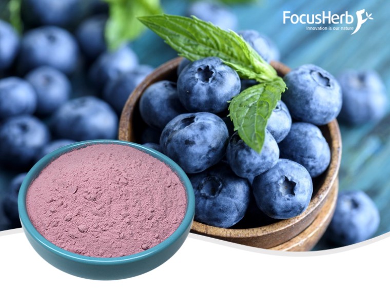 블루베리 분말