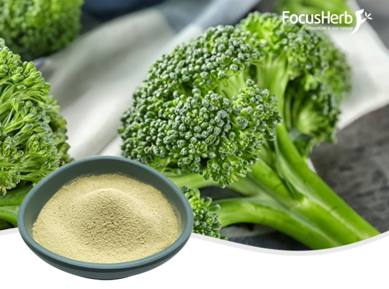 브로콜리 분말