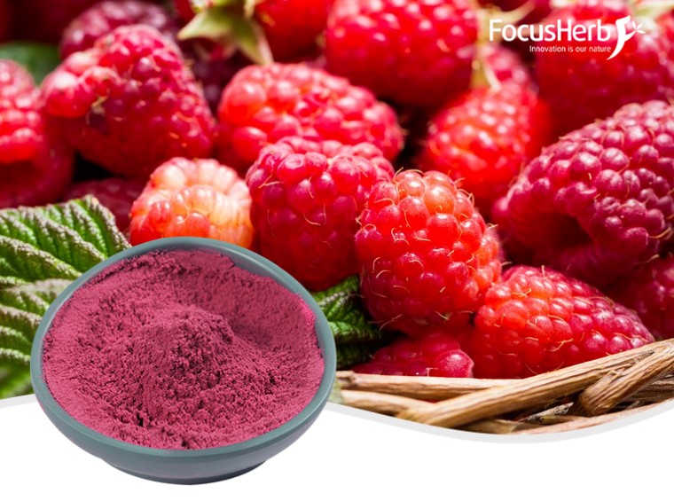 라즈베리 과일 분말