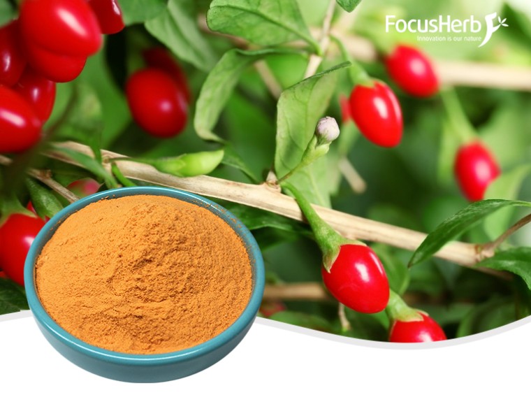 유기농 구기자 분말