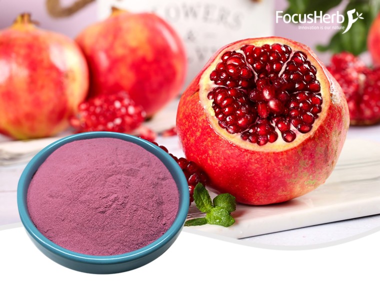 유기 석류 분말