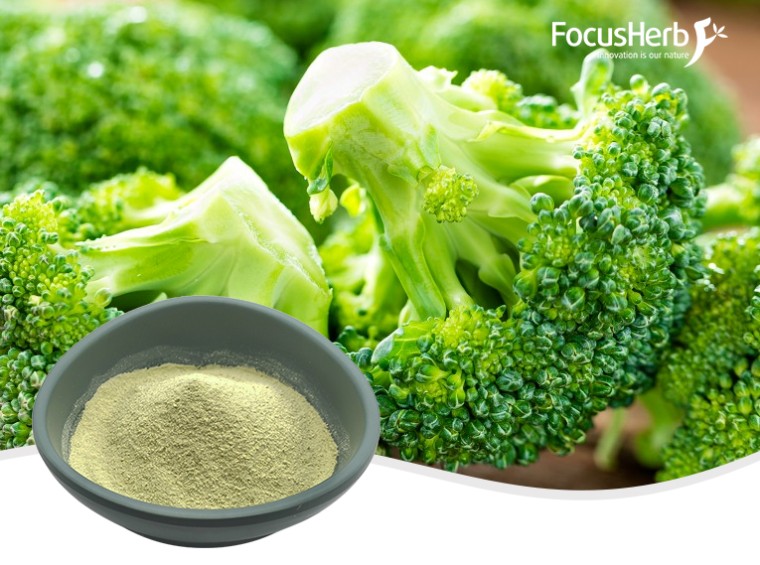 유기농 브로콜리 분말