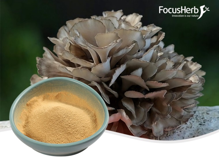 유기농 잎새버섯 분말/유기농 잎새버섯 꽃가루