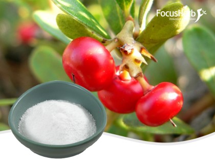 알파 아브루틴 /베타 아브루틴