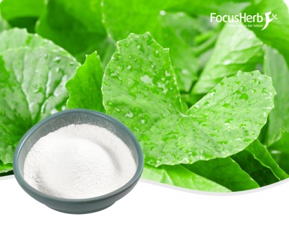 마데카소사이드