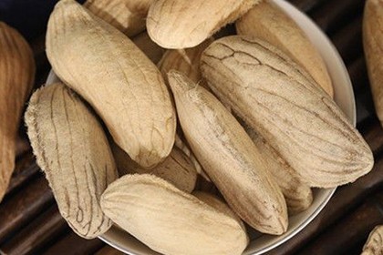 아프리카 망고 종자 추출물