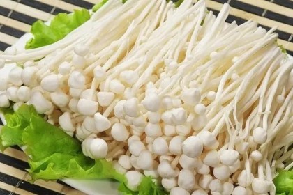 팽이버섯추출물