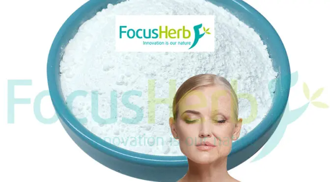 니코틴 아미드 리보 사이드 파우더가 어떻게 건강한 노화와 장수를 지원합니까?