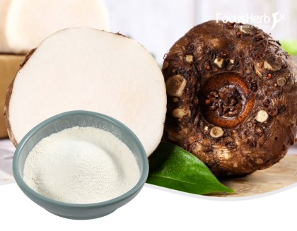 Органическая конжаковая мука
