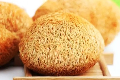 Экстракт Hericium erinaceus