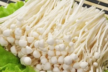 Экстракт гриба эноки