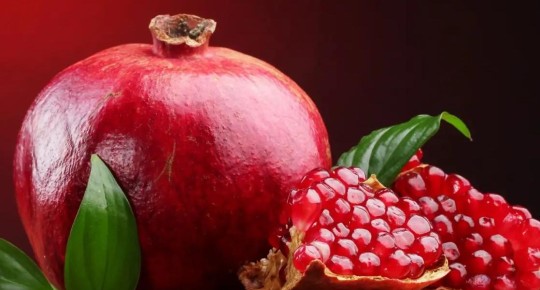 Pomegranate Extract