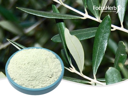 Maslinic Acid