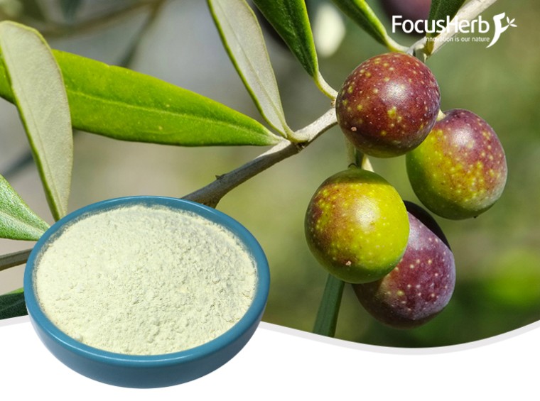 Hydroxytyrosol