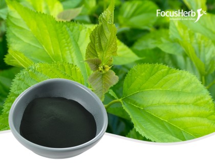 Sodium Copper Chlorophyllin