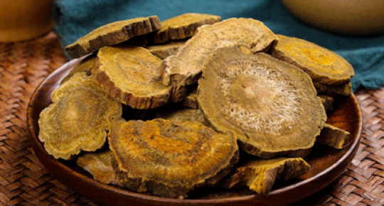 Rheum Extract