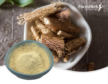 Organic Siberian Ginseng Powder
